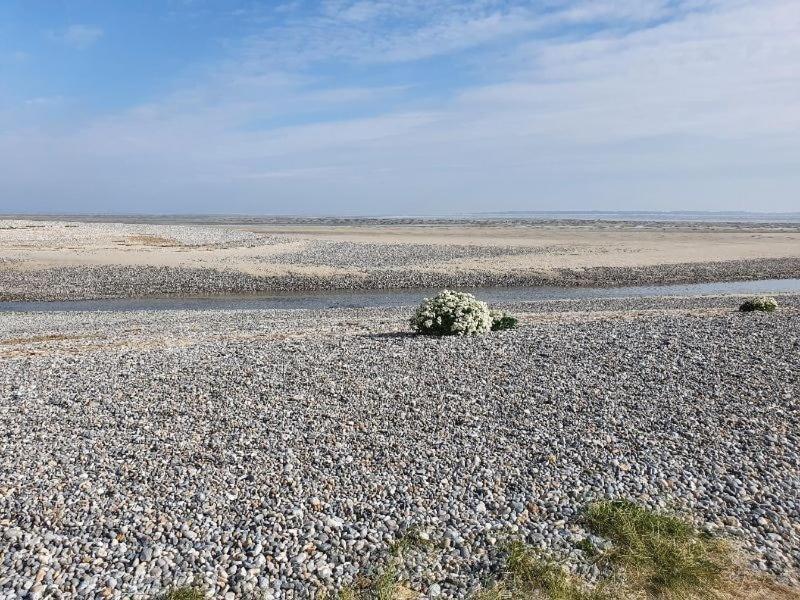 Gite Baie De Somme Cayeux-sur-Mer Exterior photo